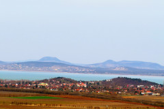 IMG_8558